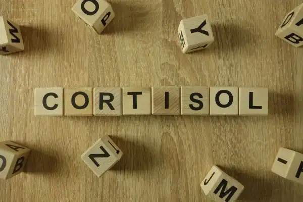 The Hidden Connection: How Stress Shapes Your Fitness and Body Composition 2 Image saying "Cortisol" and how stress Bridport impacts your wellbeing and bodies shape